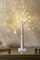 Perfect Holiday 50CM Table Birch Tree 18 LED - Battery Operated